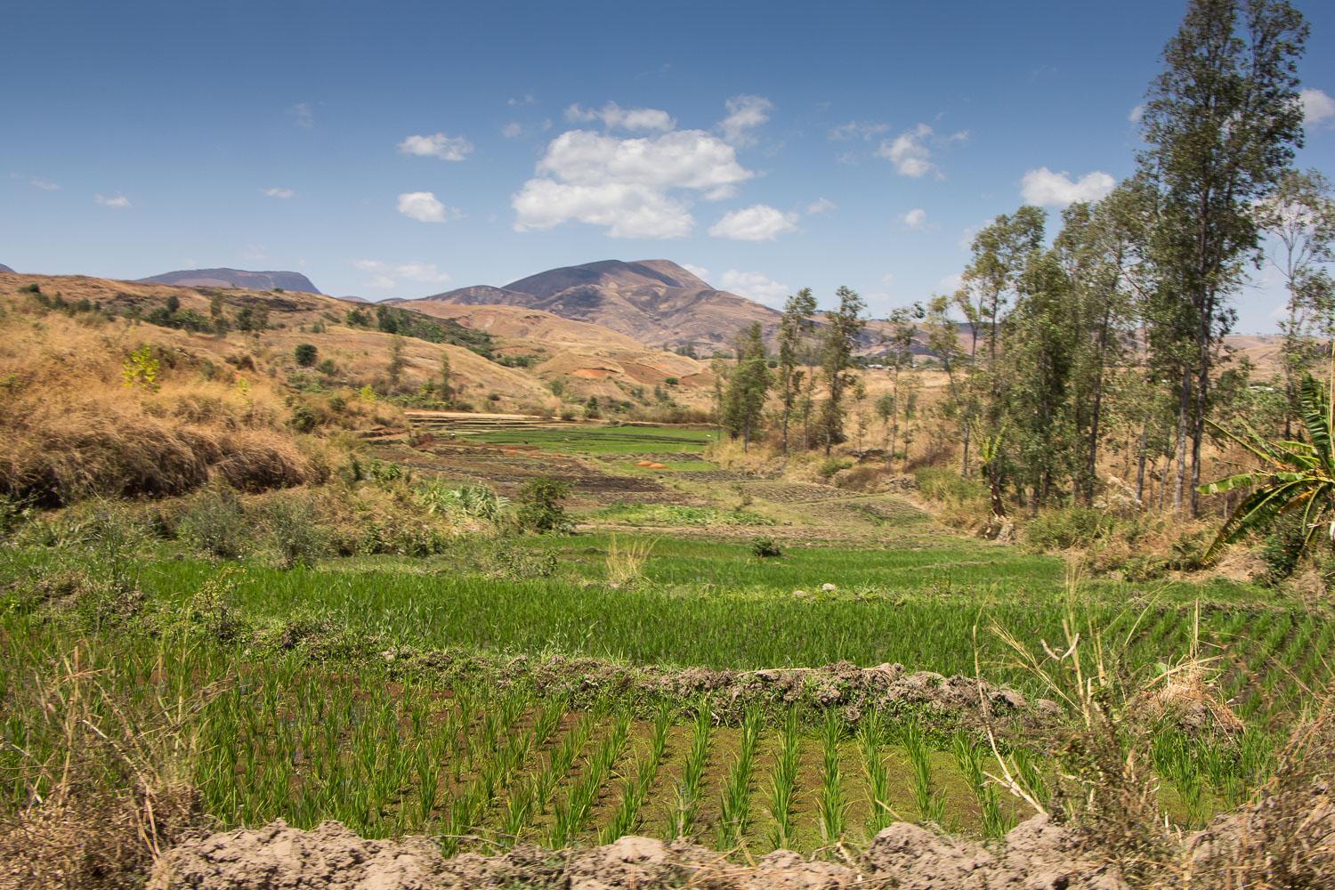 Manambolo River Trip, Madagascar Getting to the River Part I Wide